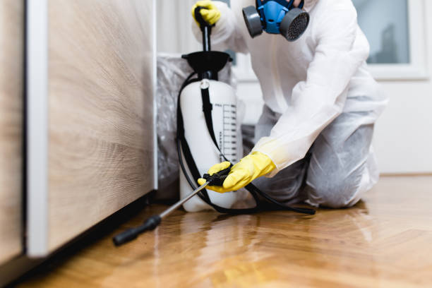 Best Pest Inspection Near Me  in Brownsburg, IN