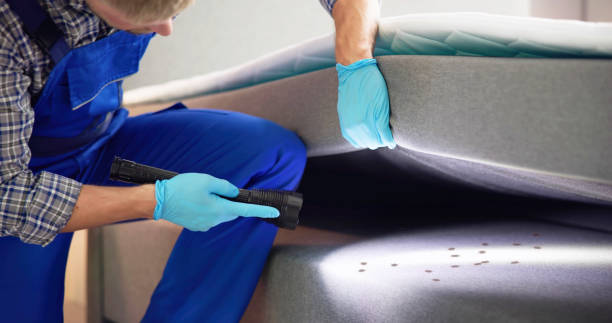 Best Emergency Pest Control  in Brownsburg, IN