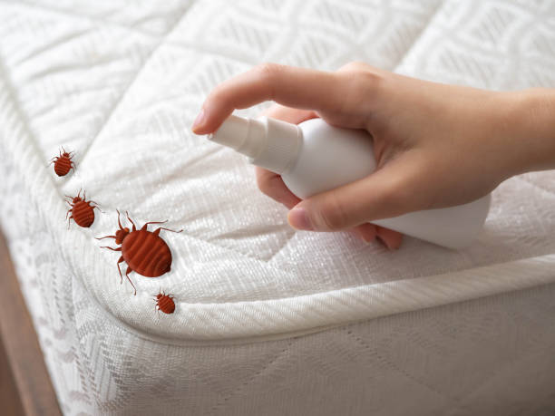 Best Exterminator Services  in Brownsburg, IN