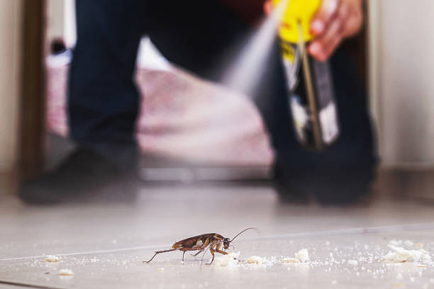 Best Residential Pest Control  in Brownsburg, IN