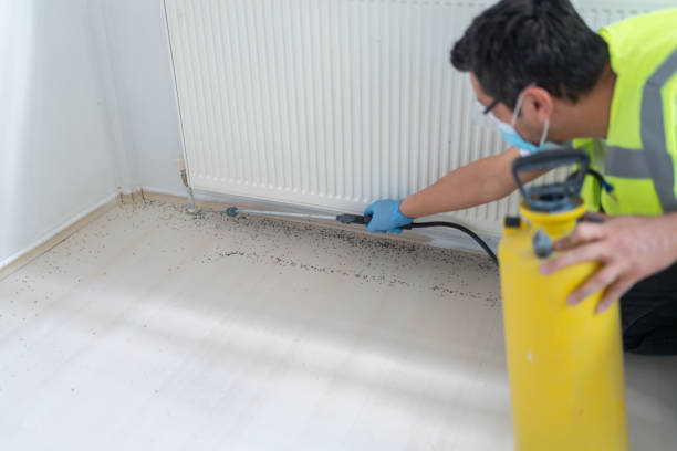 Best Best Pest Control Companies  in Brownsburg, IN