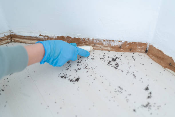 Best Exterminator Services  in Brownsburg, IN