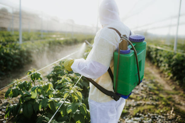 Best Pest Control for Restaurants  in Brownsburg, IN